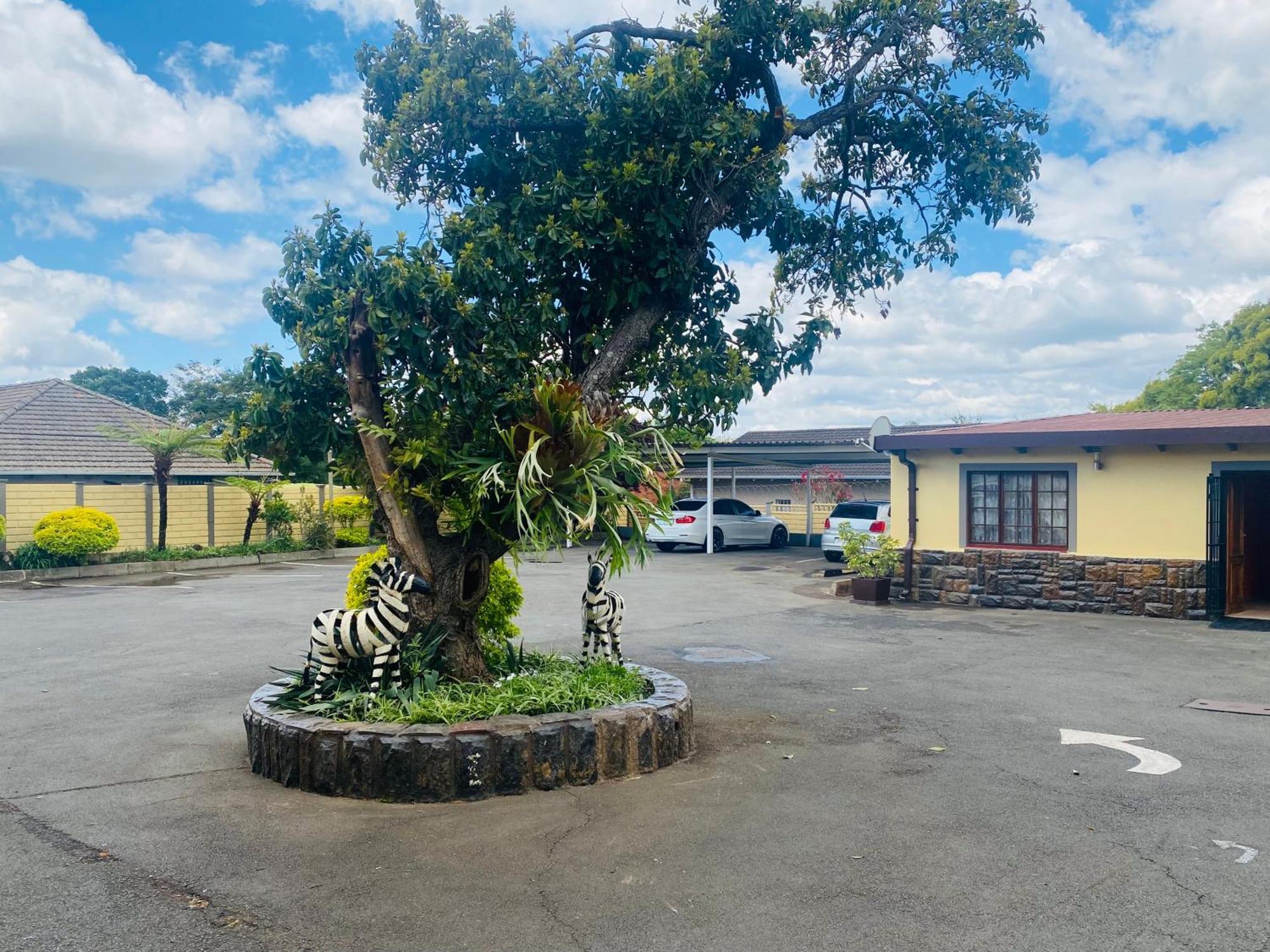 Madlula'S Guesthouse Pietermaritzburg Exteriör bild